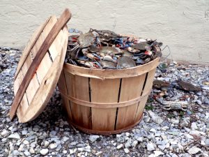 photo of a bushel basket of live blue crabs from the Chesapeake Bay of Maryland