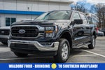 2023 Ford F-150 4WD
