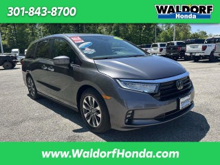 2024 Honda Odyssey EX-L