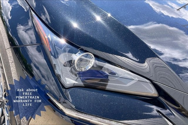 2021 Lexus NX NX 300h F SPORT Black Line