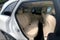 2022 Mercedes-Benz GLC-Class GLC 300