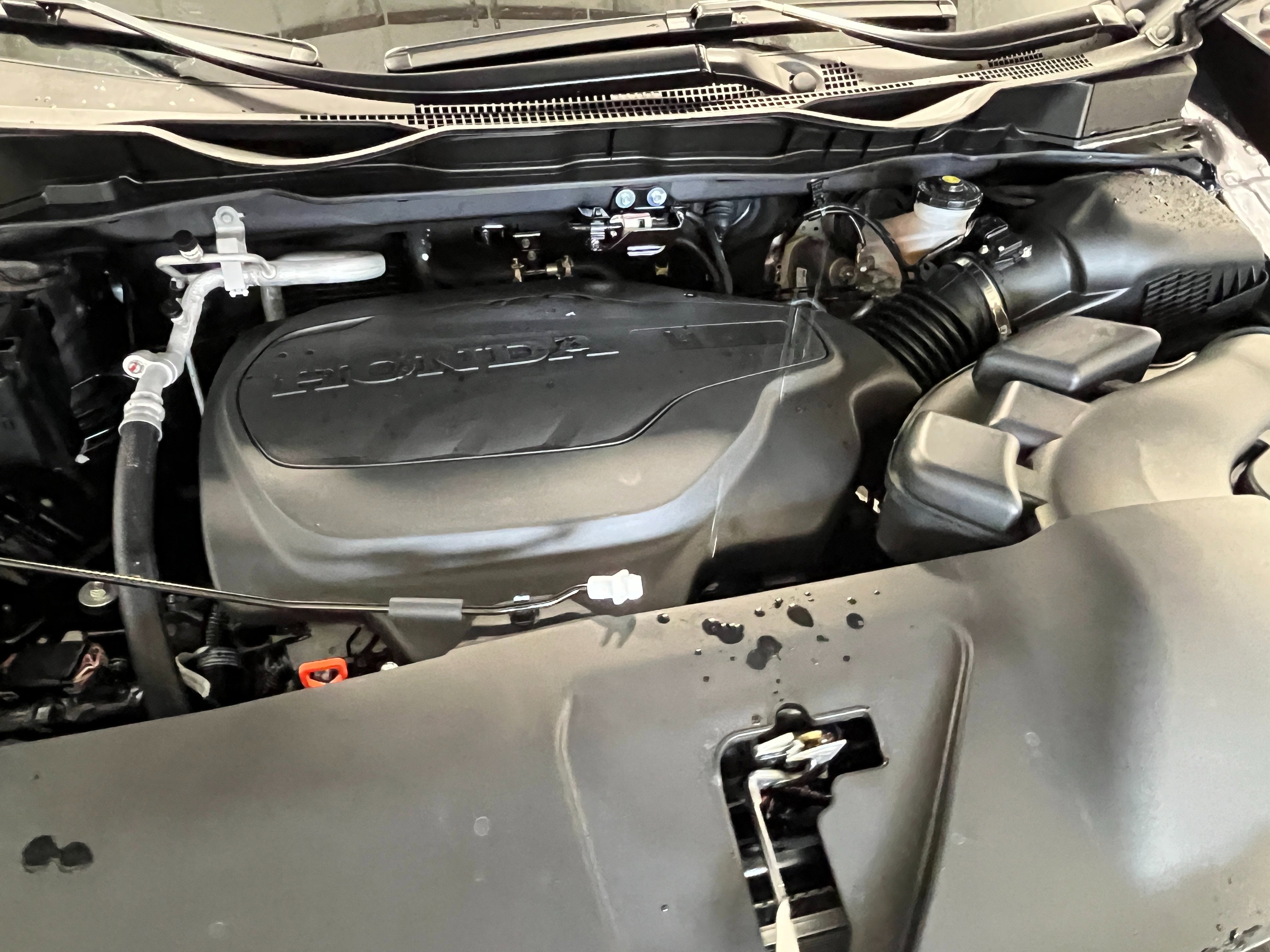 2026 Honda Odyssey EX-L Auto